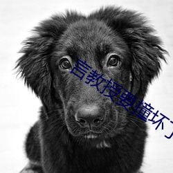 言教授要撞壞了小說免費全