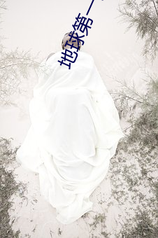 地球第一剑
