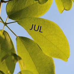 JUL