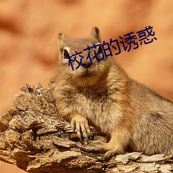 尊龙凯时·(中国)官方网站