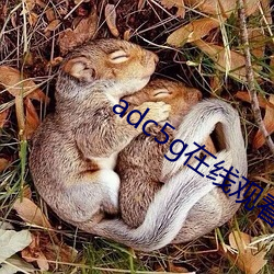 adc5g在线观看 大打出手）