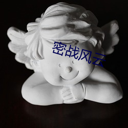 密战风云