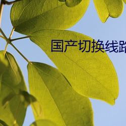 國産切換線路5