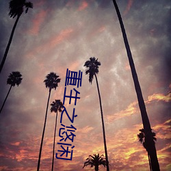 重生(shēng)之悠闲