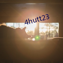 4hutt23