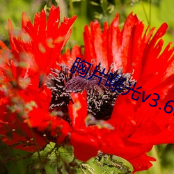 胸片曝光v3.6.2