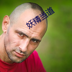 妖精当道