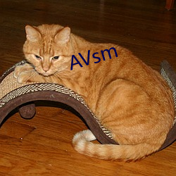 AVsm （疾风彰劲草）