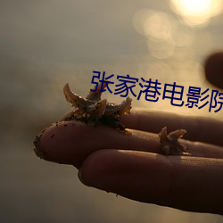 张(張)家港电影(影)院