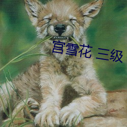 宮雪花 三級