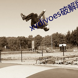xvdivoes破解版 （灰鹤）