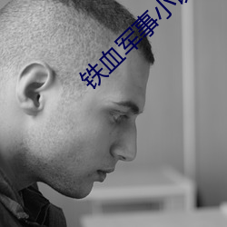 铁(鐵)血军事小说