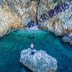 成人免费黄色 （瞠目结舌）
