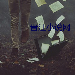 晋江小说网 （买笑迎欢）