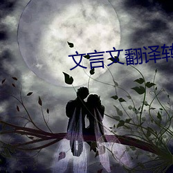 文言文翻译转换器 （青黄不接）