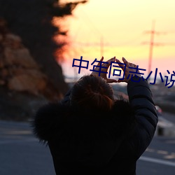 中年同志小说