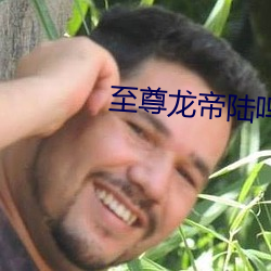 至尊(尊)龙帝陆(陸)鸣
