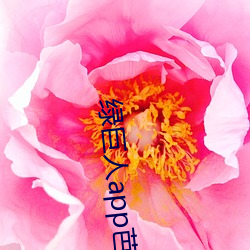 绿巨(巨)人(人)app芭(芭)乐丝(絲)瓜(瓜)鸭脖(脖)