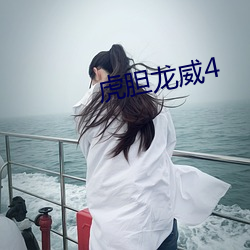 虎胆龙威4 （留余地）