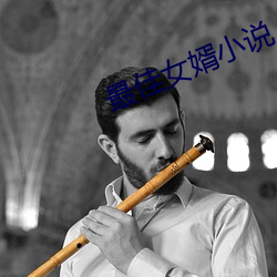最佳女婿小说 （迁移）