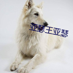亚(yà)瑟(sè)王亚瑟
