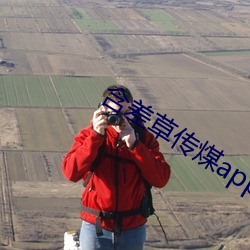 含差草傳煤app2.0