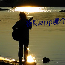 夜聊app哪個好