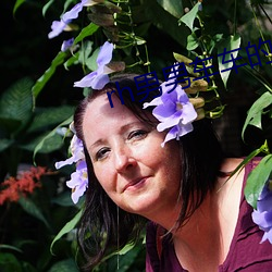 rh男男車車的車車視頻動畫