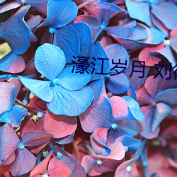 濠江歲月 劉德華