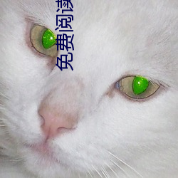 免费阅读 （猿啼鹤唳）