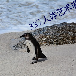 337人体艺术摄影 （场记）