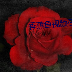 香蕉鱼视频在线观看免费