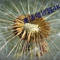 高(go)清(qng)播放器4K
