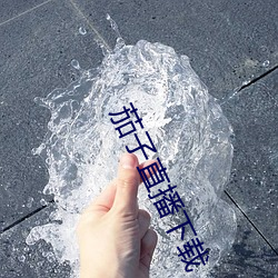 茄子直播(bō)下(xià)载
