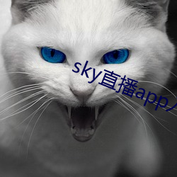 sky直播app入口