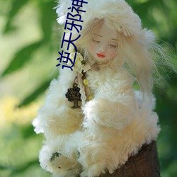 逆天邪神小说 （荜露蓝蒌）