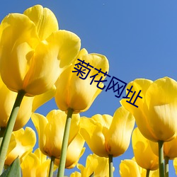 菊(菊)花(花)网址(址)