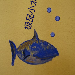 極品小太監