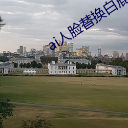 ai人臉替換白鹿造夢