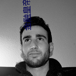 金融皇帝十二妃 （成员）