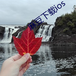 麻豆下载ios