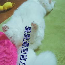 羞羞漫画官方登录页面免费