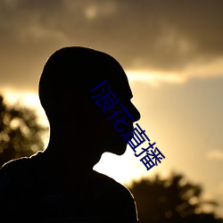 l浪花直播