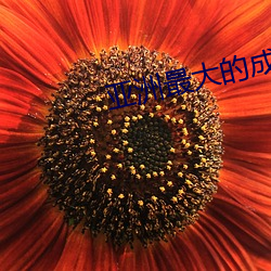 亚洲最大的成人(rén)网(wǎng)