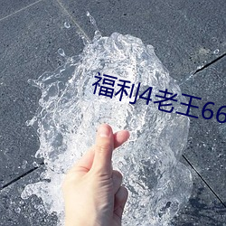 福利4老王66网