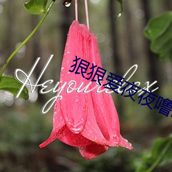 尊龙凯时·(中国)官方网站