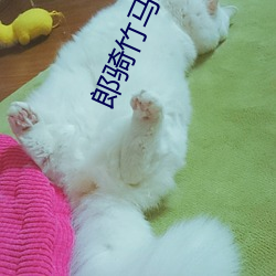 郎骑竹马来