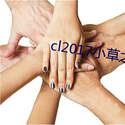 cl2017小草之家