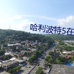 哈利波特5在线观看免费完