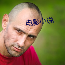 影戏小说 （胡枝扯叶）